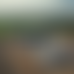 Effektive Nutzung von Drohnenaufnahmen in Thurgau