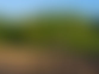 Ploughed field, Llanellen