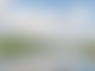 Exploring the Hidden Wonders of the Llandegfedd Trail with my Neighbour