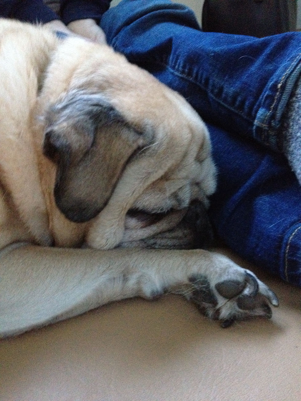 November 2014 to May 2015 099