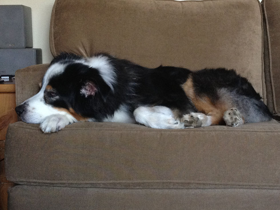 November 2014 to May 2015 268