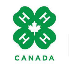 4-H.jpg