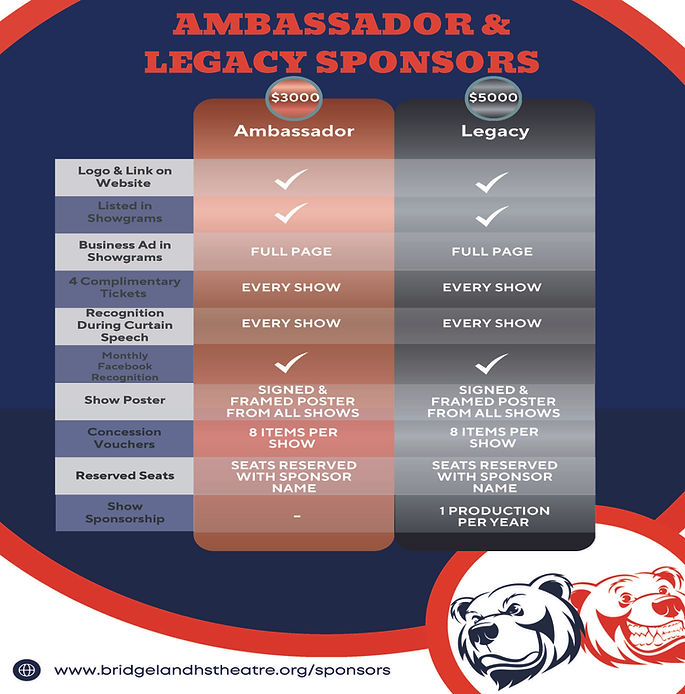 Sponsorship flyer p2.jpg