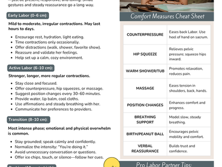 Birth Partner Cheat sheet 