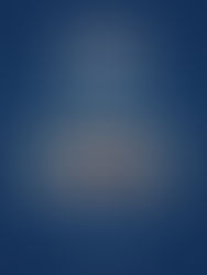 Não perca nossa live no dia 29.11 as 19h30 no Instagram da Lótus!