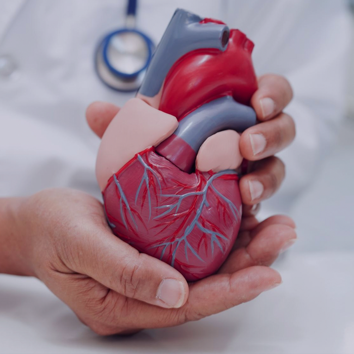 O Angiologista é o médico responsável pelo estudo, diagnóstico e tratamento clínico das doenças que acometem os sistemas arterial, venoso e linfático. Esse especialista é procurado principalmente para tratamento de varizes, veias dilatadas e retorcidas que ocorrem com mais frequência nos membros inferiores.

Outras doenças que entram no domínio do angiologista são: Arteriosclerose, Insuficiência Vascular Cerebral, Trombose Venosa Profunda, Aneurisma Arterial, Vasculite, Acidente Vascular Cerebral, Doença Venosa, Pé diabético, Síndrome de Raynaud, Fístulas Arteriovenosas, entre outros.

O Angiologista atua juntamente com a Cirurgia Vascular, sendo este o modo de tratamento para as doenças detectadas pelo médico especializado.