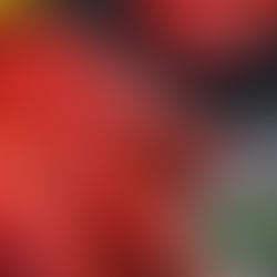 Camarão Carabineiro.