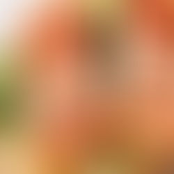 Salmão Assado com Ervas. 