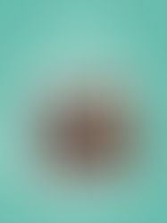 Um café cheio de delícias para quem vem ao Nasce Saúde!