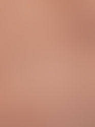 Dia de celebração dos incríveis 13 anos de Lótus!