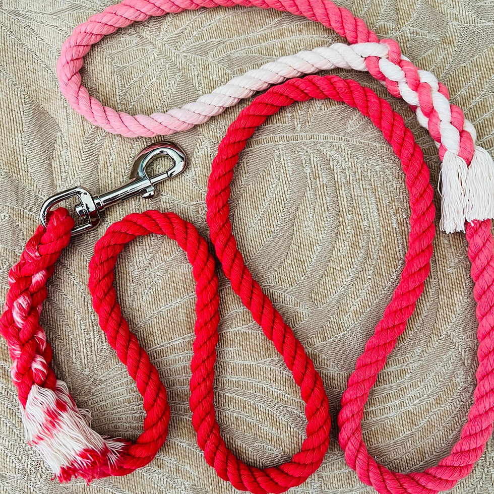 Thumbnail: Red Cotton Rope Dog Leash American Made Hand Crafted Custom Pet Leash Dog