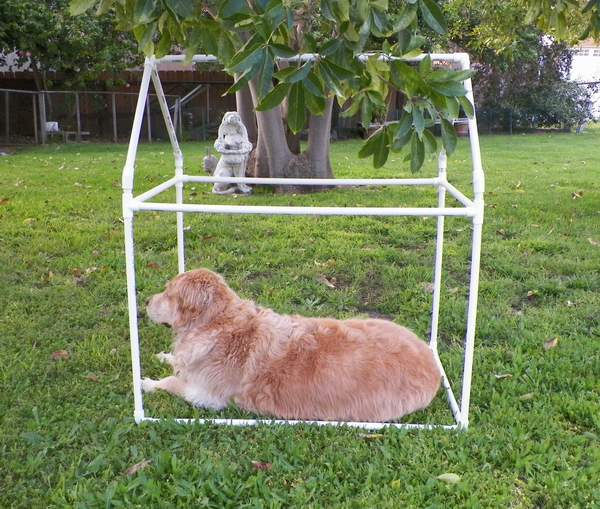 Thumbnail: Living Dog House Large Medium & Small Dogs