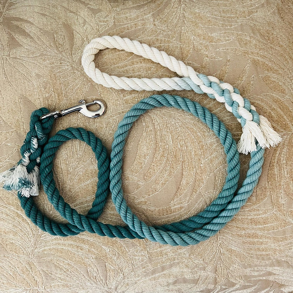 Thumbnail: Sage Green Cotton Rope Dog Leash American Made Hand Crafted Custom Pet Leash Dog