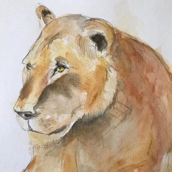 Thumbnail: Lioness Original Watercolor Painting