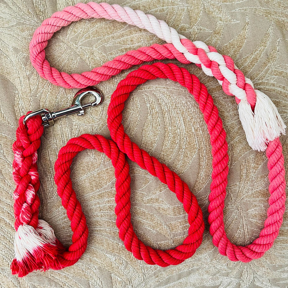 Thumbnail: Red Cotton Rope Dog Leash American Made Hand Crafted Custom Pet Leash Dog