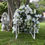 Thumbnail: Living Dog House Large Medium & Small Dogs
