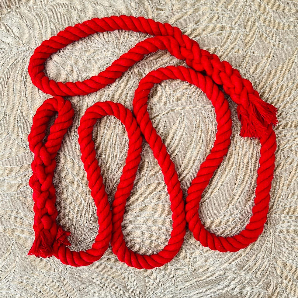 Thumbnail: Silent Leash Cotton Rope Dog Leash American Made Hand Crafted Custom Pet Leash