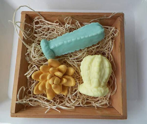 Thumbnail: Cactus/Succulent Set Soap and Beeswax Molds