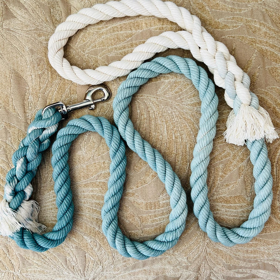 Thumbnail: Sage Green Cotton Rope Dog Leash American Made Hand Crafted Custom Pet Leash Dog