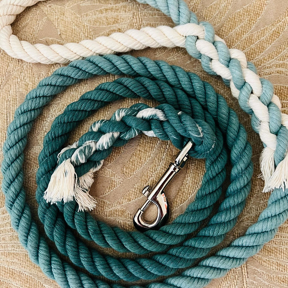 Thumbnail: Sage Green Cotton Rope Dog Leash American Made Hand Crafted Custom Pet Leash Dog