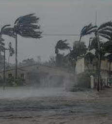 Olympian Roof technicians repairing a roof damaged by a recent storm, restoring safety and security to the home.
