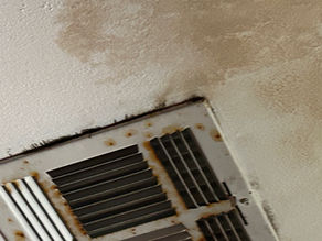 Why Metairie Homes Are Prone to Roof Leaks—and How to Fix Them