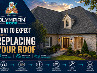 What to Expect When Replacing Your Roof: A Homeowner's Step-by-Step Guide