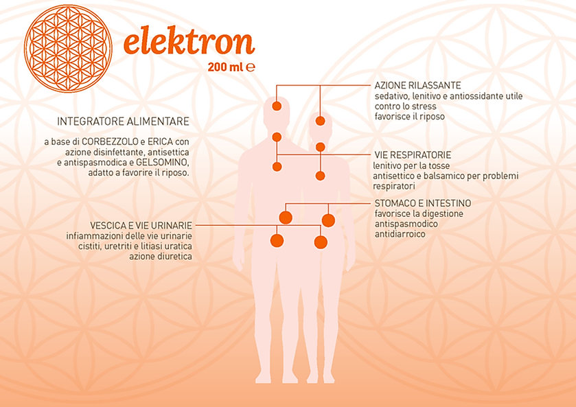 ELEKTRON omini.jpeg