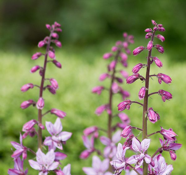 iStock-540532382.jpg