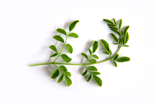 iStock-975637398.jpg