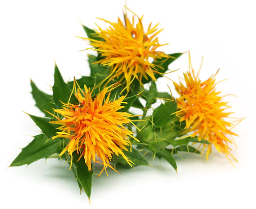 iStock-492705448.jpg