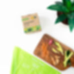 Compostable bin liners in a box, green bag, wooden board with vegetable scraps, and a green plant on a white background.