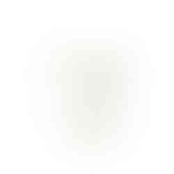8oz white compostable paper cup on a white background