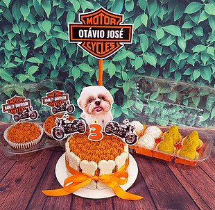 Bolo pet com biscoitos ao redor, decoração em tom laranja, quatro docinhos, quatro salgadinhos e dois cupcakes.