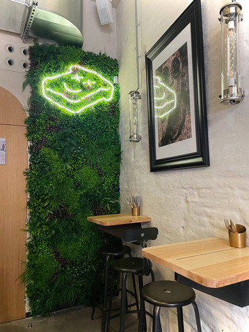 mur-vegetal-agathe-9-art.jpeg