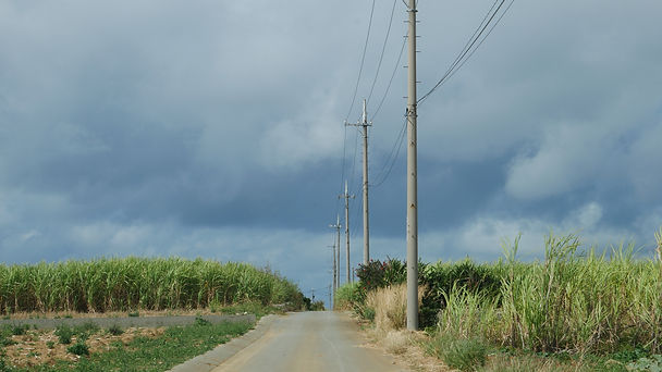 P1040645.JPG