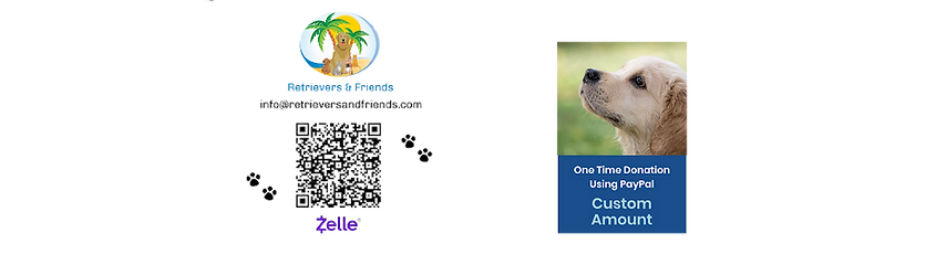 adopt a pet (1) - Made with PosterMyWall.png