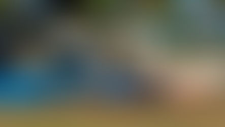 FIA WEC: Alpine and Porsche on pole for 1000 miles of Sebring