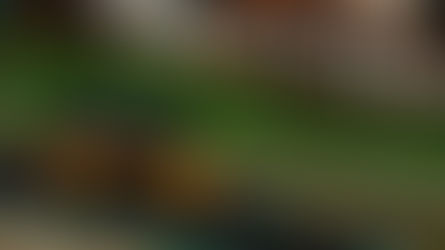 Toyota/Lexus select Akkodis ASP as their LMGT3 Partners