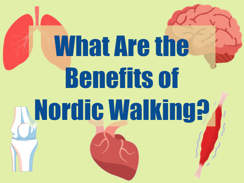 Illustrations of lungs, heart, muscle, bone, and brain are scattered in the background behind text that reads: What are the benefits or Nordic walking?