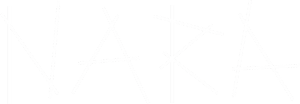 NARA_logo_bile.png
