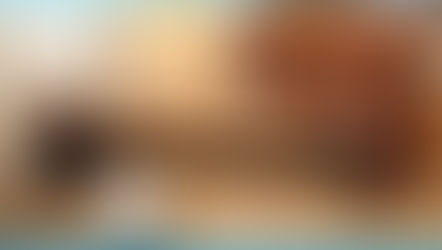 沢山のご縁をいただいた一年でした