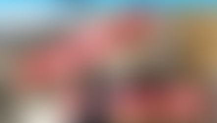 お三味線でチューリップ