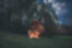 From Nature