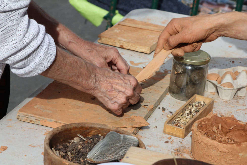 41920142_10156778531764452_7440704405625634816_n