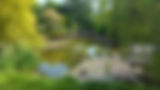 DJI_20240619_155347_181.jpg