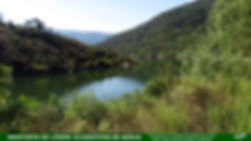 Barxa1-Ecosistema de Barxa-WEB.jpg