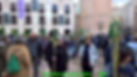 Recogida_de_las_cañas-WEB.jpg