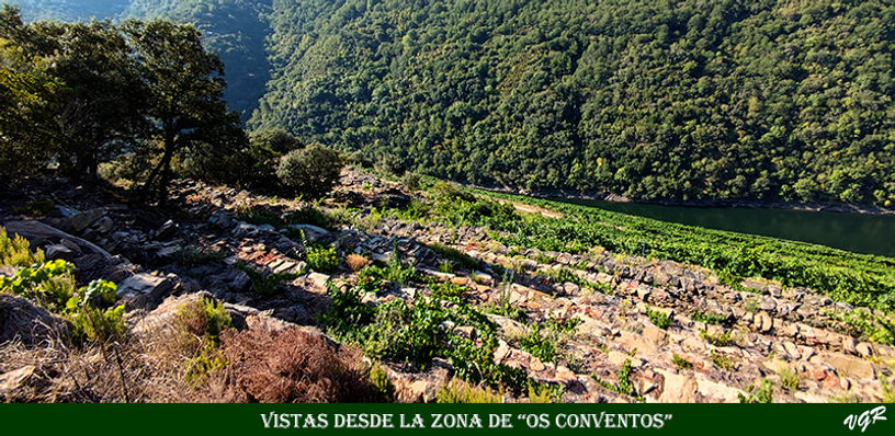 1-Vistas desde Os Conventos-1-WEB.jpg