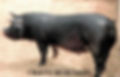 Chato murciano-WEB.jpg